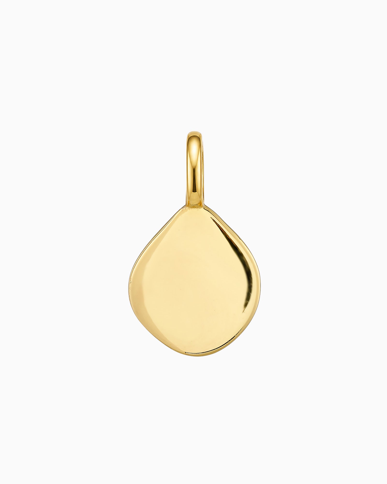 Charmed 14k Gold Vermeil Cubic Zirconia Plain Disk Charm