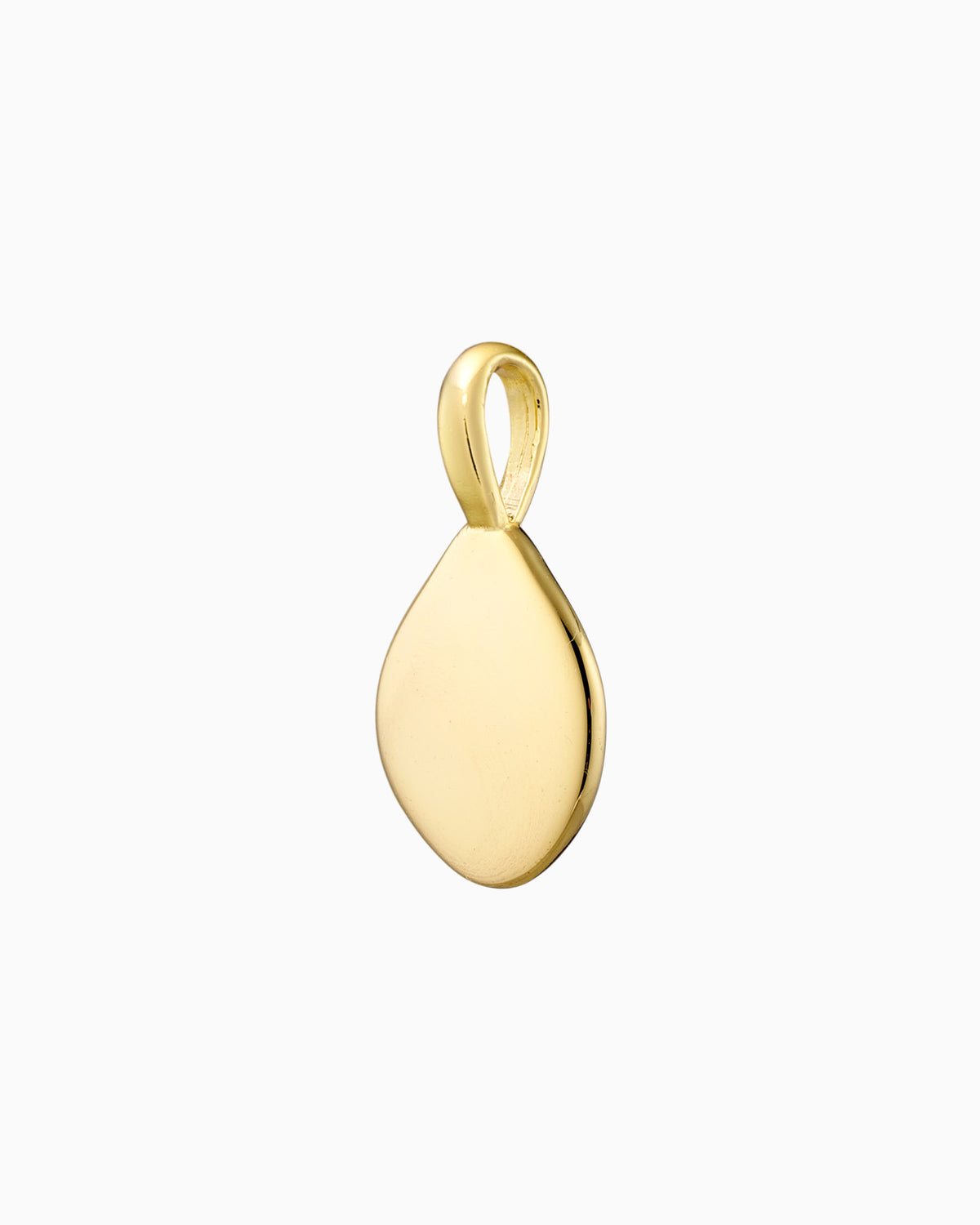 Charmed 14k Gold Vermeil Cubic Zirconia Plain Disk Charm