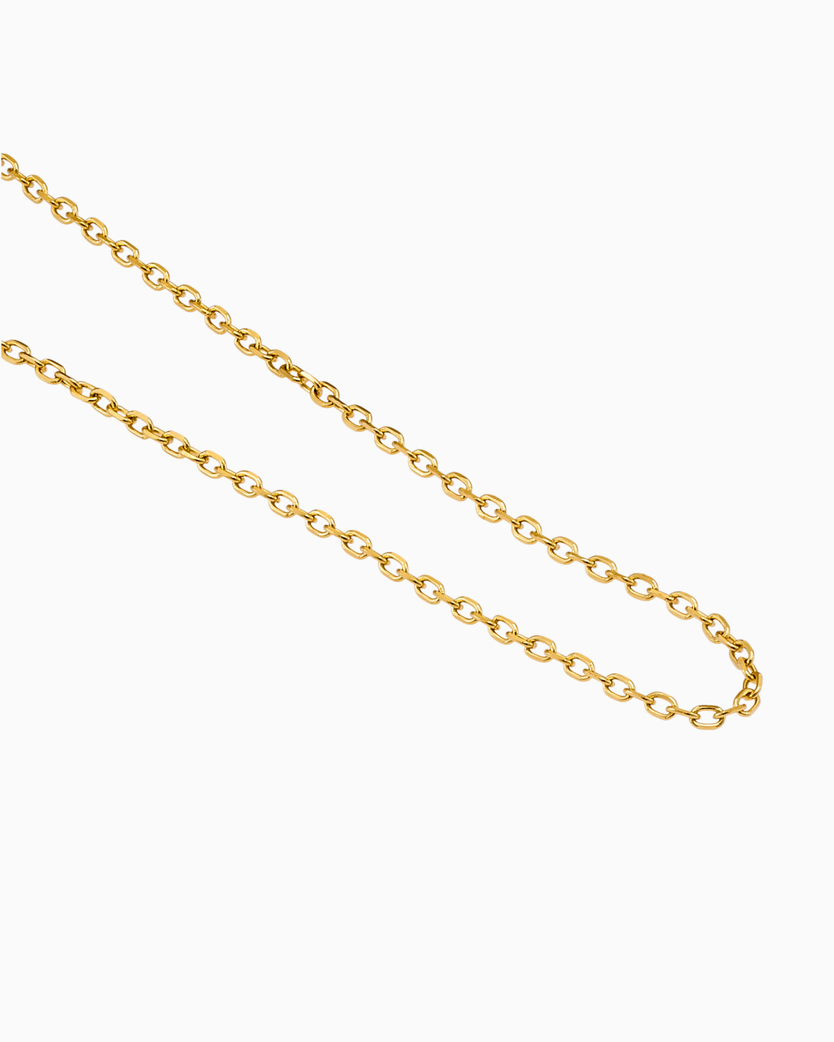 Icon 14k Gold Vermeil Plain Belcher Chain Necklace
