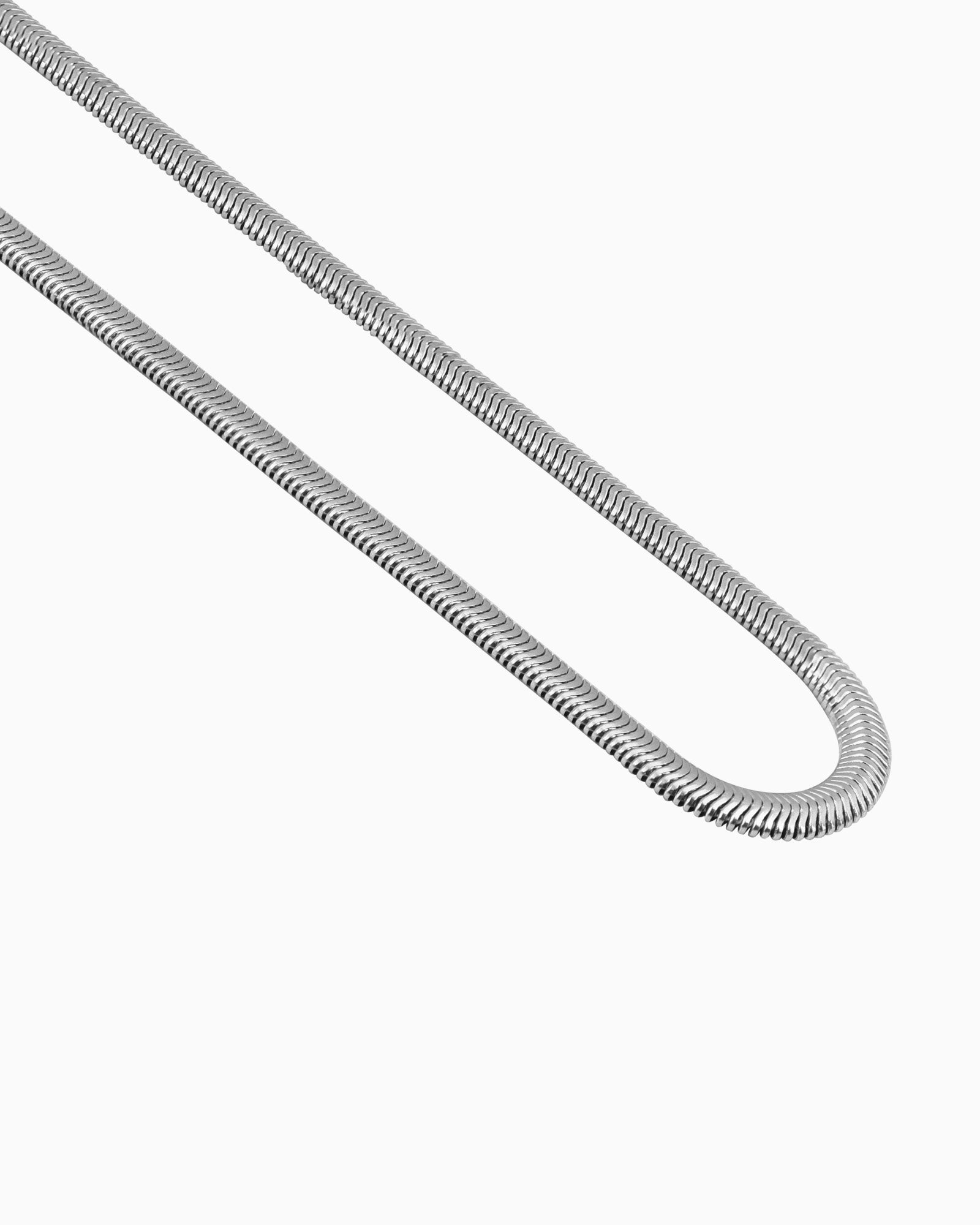 Essentials Snake Chain Necklace