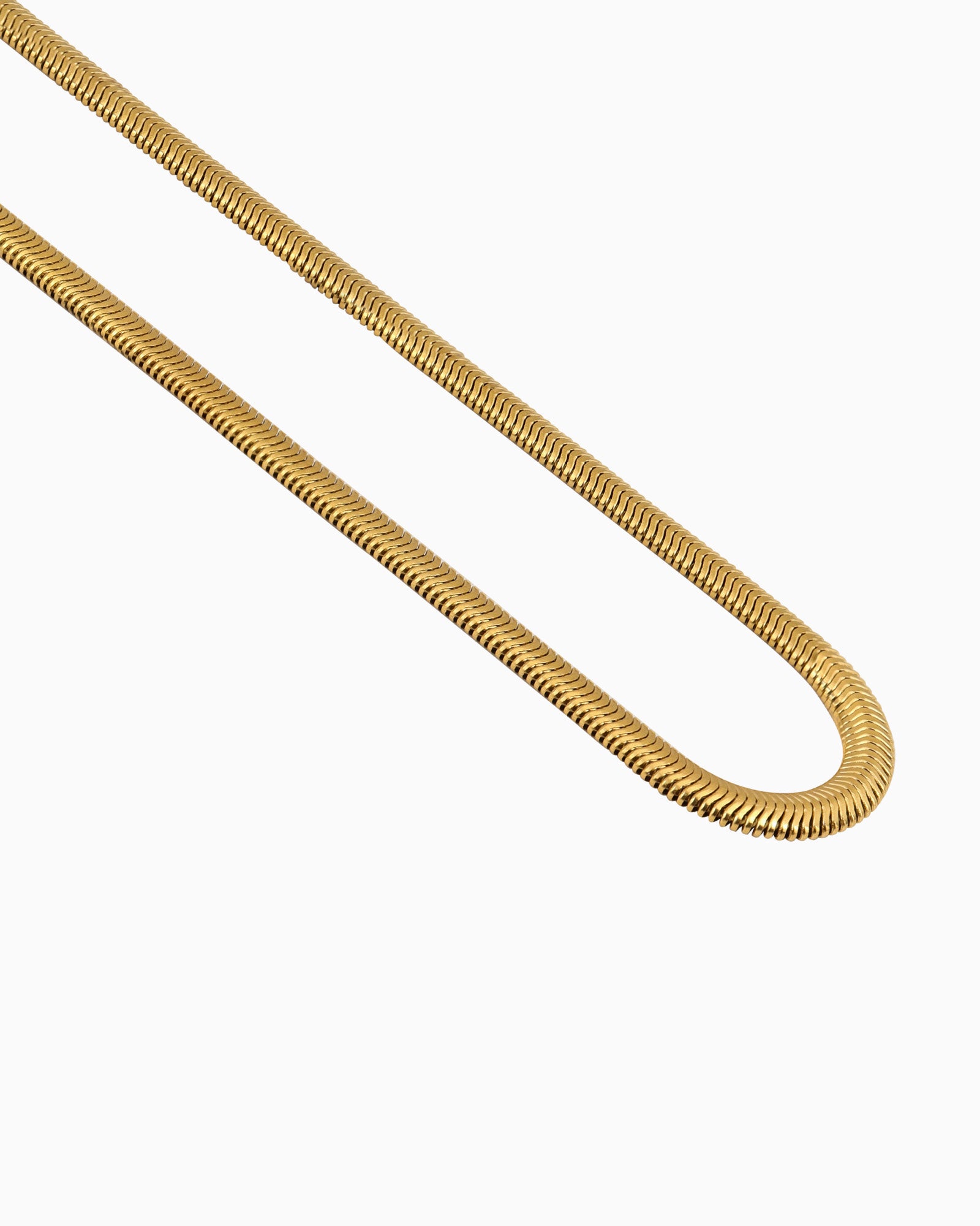 Essentials Snake Chain Necklace