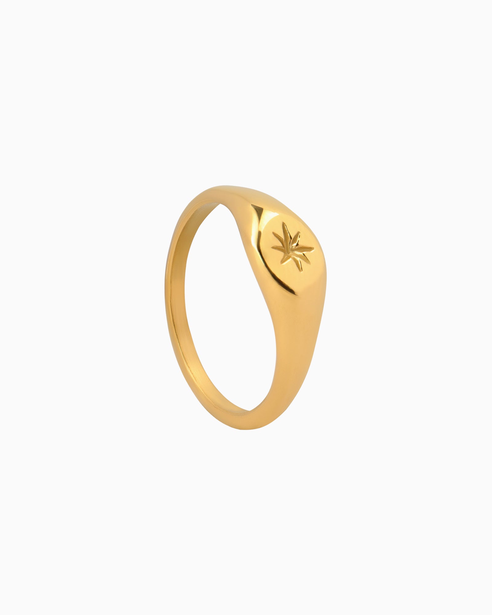Stars Mini Signet Ring with Star