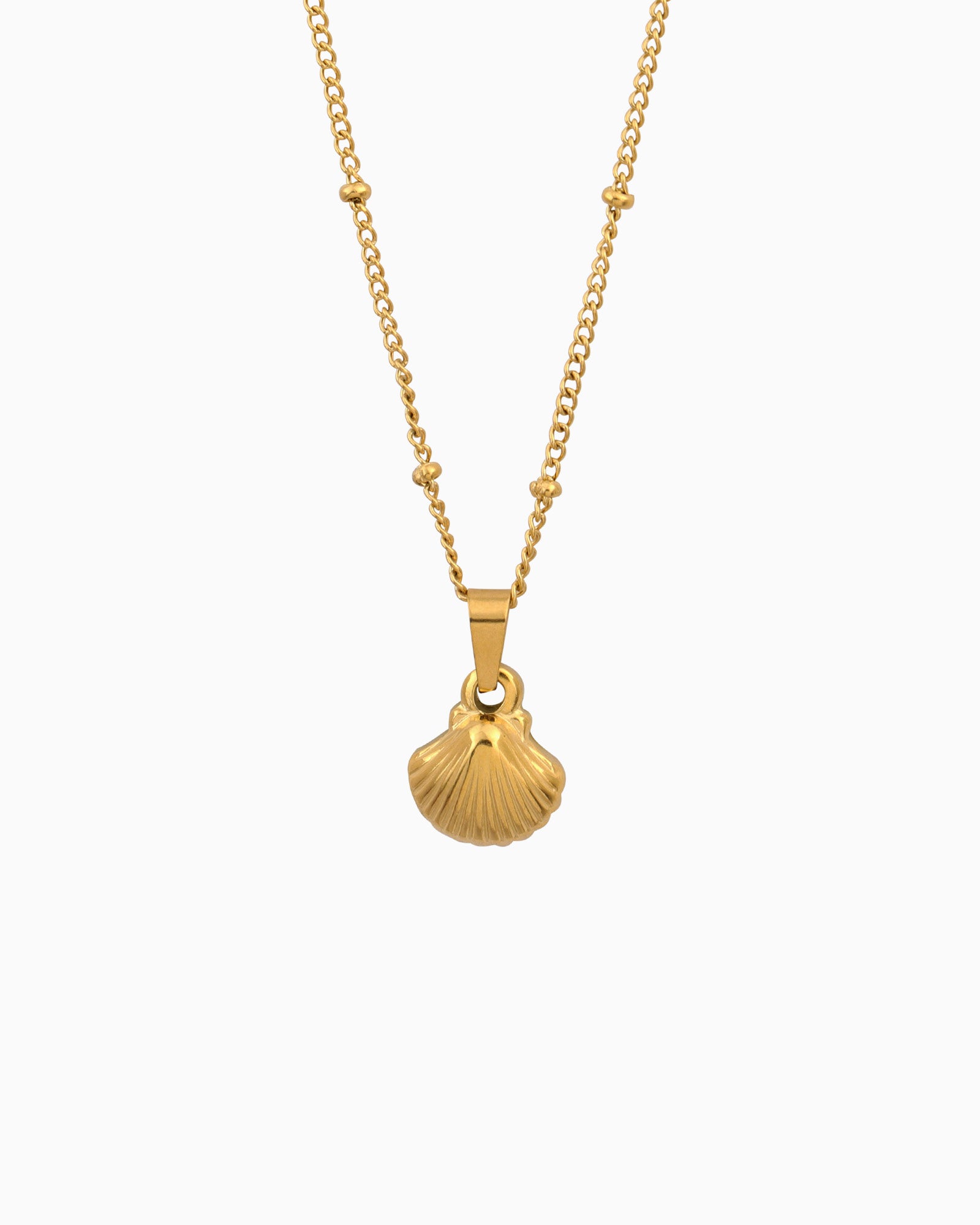 Drift Intermittent Bead and Shell Necklace